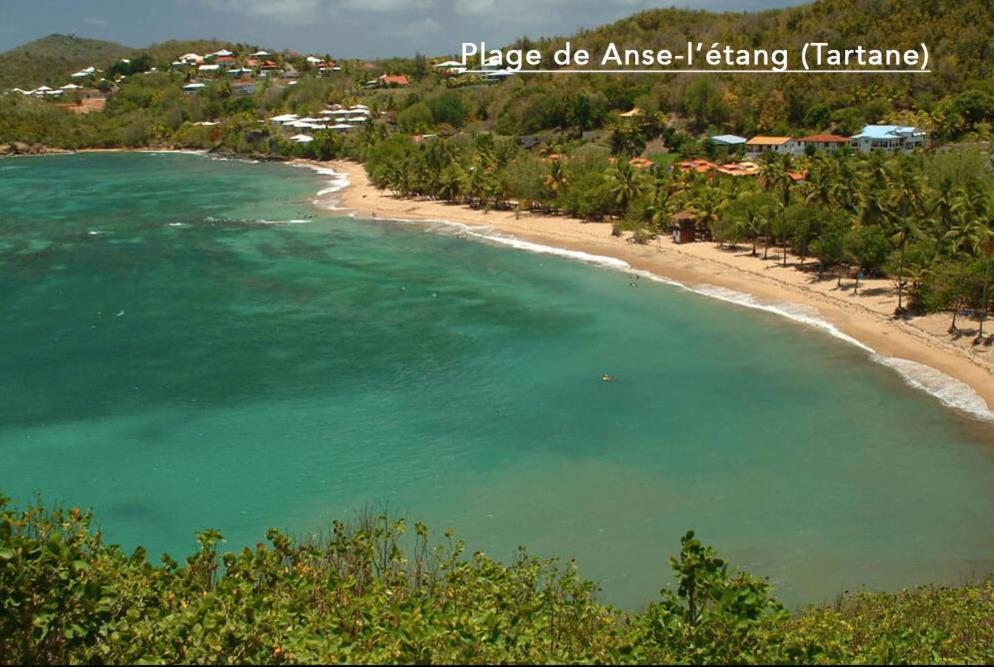 F3 Hibiscus - Piscine Chauffee - Vue Mer - 9 Min De La Plage - Ti Zwezo Paradi La Trinité Exterior foto