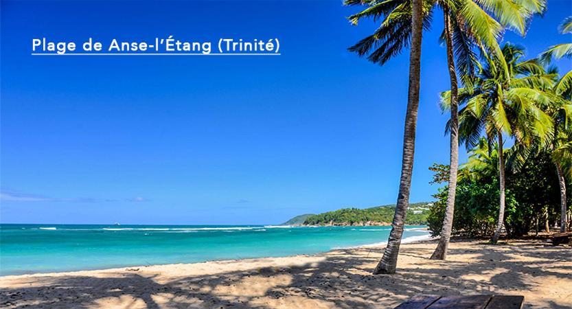 F3 Hibiscus - Piscine Chauffee - Vue Mer - 9 Min De La Plage - Ti Zwezo Paradi La Trinité Exterior foto